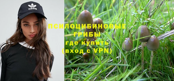 эйфоретик Медвежьегорск