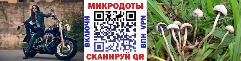 Псилоцибиновые грибы Magic Shrooms  Купить  Мглин 